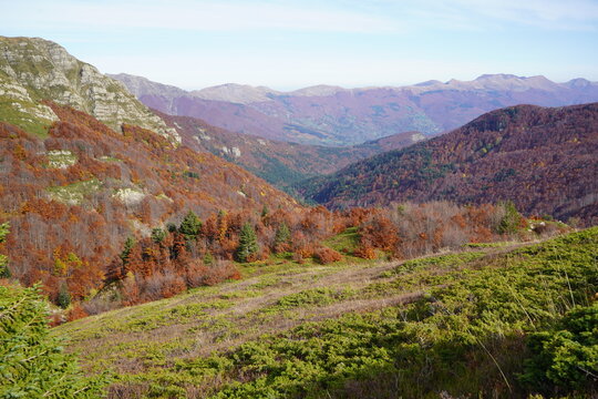 View of the colorful autumn foliage surrounding the Lago Nero area in the Apennine Mountains with vibrant red and orange trees on the slopes in Abetone Cutigliano, Tuscany, Italy.