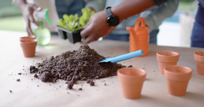 Family planting after prepping pots, dad holding tray while child planting sprout on porch learning