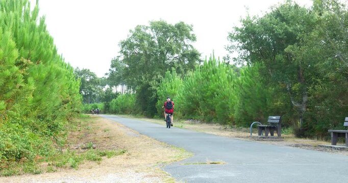 Magnificent forest landscape in the Landes region of southwestern France, featuring cycle paths