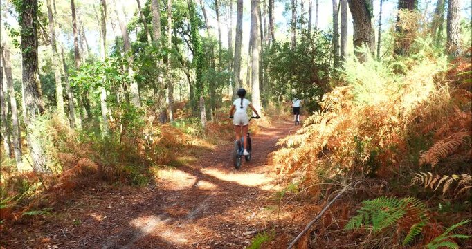 group of people on electric scooters in a pine forest