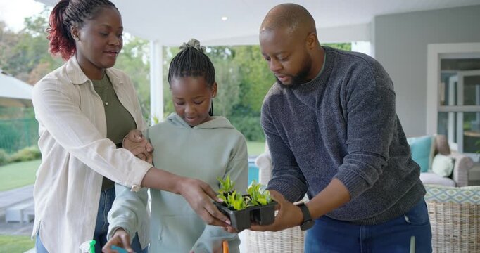 African American family potting seedlings father holding tray teaching child using trowel on patio