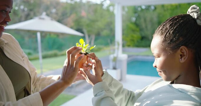 African American family passing pot daughter taking sprout father joining planting on patio by pool