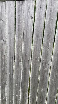 The camera rotates from right to left; the frame shows an old, unpainted, gray wooden village fence made of large, flat boards.