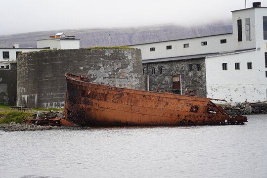View of the rusted shipwreck Sudurland resting on the shore near the historic herring factory in Djupavik, Arneshreppur, Iceland.