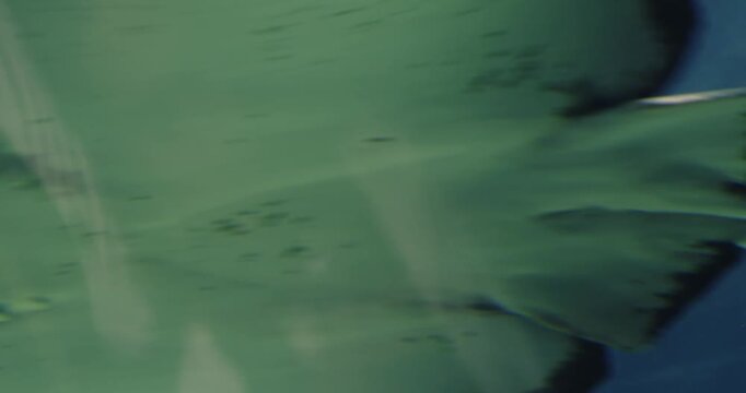 Exploring the stingrays at Toronto Aquarium in the early afternoon