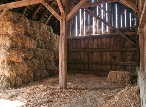 Barn interior with rustic wooden beams and stacks of hay bales in farm storage