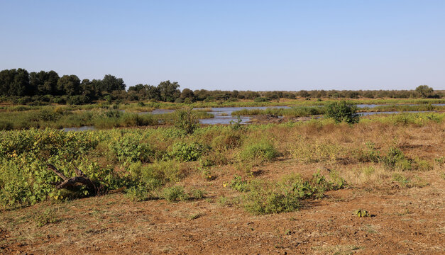 Olifants River/ Olifants River /
