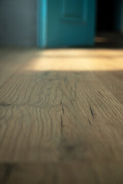 Sunlight falling on natural oak wooden floor in cozy room interior