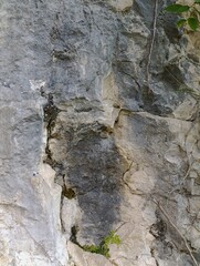 Fototapeta premium Close-up of a weathered rock face with fissures and mineral texture, geological cliff surface outdoors, stone detail, geology study.