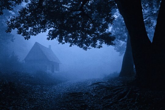 Cabin hidden in a dark misty forest at night creating a spooky and haunted mystery