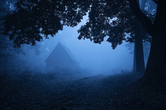 Fog and mist surrounding a mysterious haunted house in a dark spooky night forest