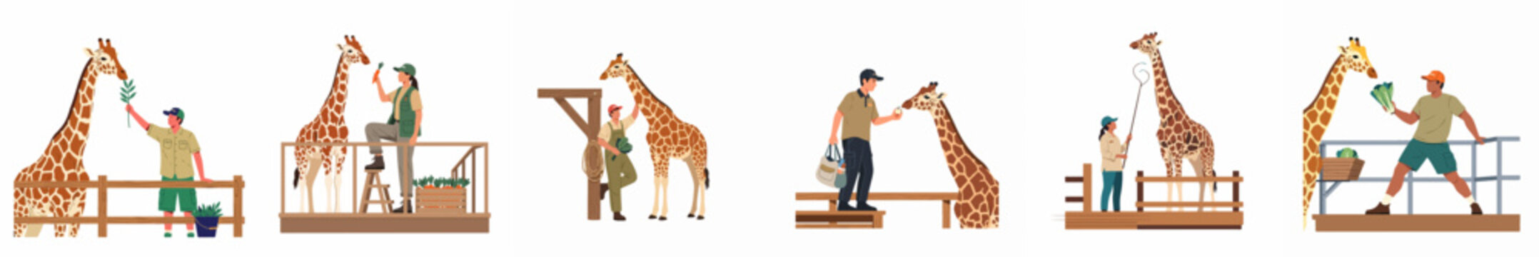 Vector Illustration Set of Zookeepers Feeding and Caring for Giraffes in a Zoo or Wildlife Park Environment, Including Feeding, Health Checks, and Interaction Scenes Isolated on White Background
