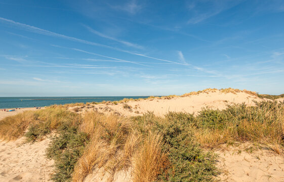 Beach and North Sea seen from behind a dune top. The photo was taken at the Dutch seaside resort of Renesse in the province of Zeeland at the end of a sunny afternoon during the summer season.