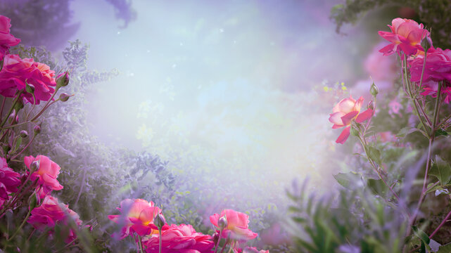 Fantasy blooming pink rose flowers in fairy tale magical garden, fairytale glade wallpaper background, amazing magic tranquil misty landscape template, scene in lilac colors and empty copy space.