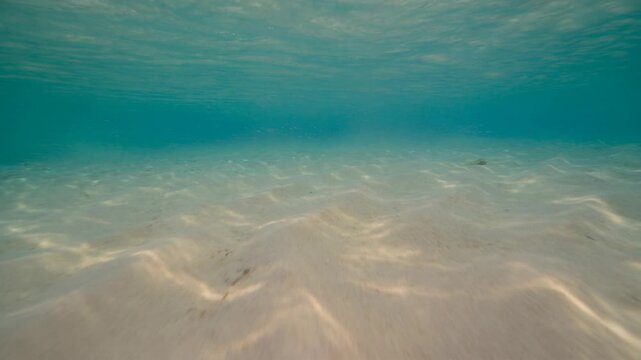Underwater view of a sandy ocean floor