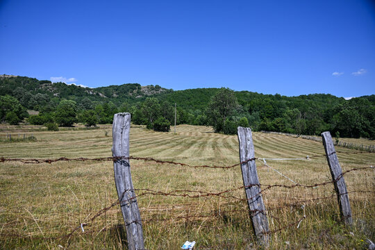 Freshly mowed grassy meadow in a rural landscape under a clear blue sky. Weathered wooden fence posts with rusty barbed wire in the foreground. Rural countryside.