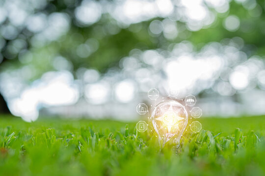 Light bulbs that grow, in the concept of energy in nature.