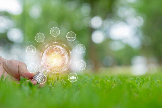 Light bulbs that grow, in the concept of energy in nature.