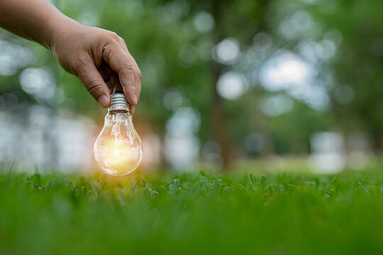 Light bulbs that grow, in the concept of energy in nature.