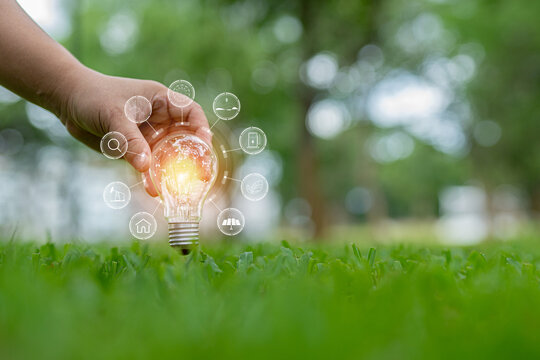 Light bulbs that grow, in the concept of energy in nature.