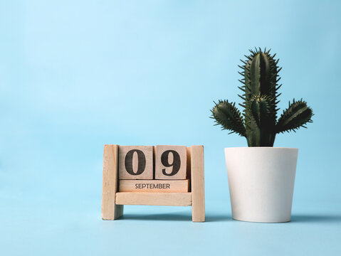 A wooden block calendar for September 9th with a plastic cactus plant on the side on a light blue background.