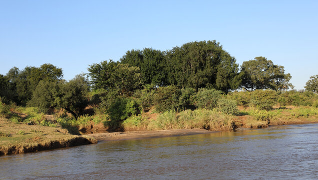 Afrikanischer Busch - Kr&uuml;gerpark - Olifants River / African Bush - Kruger Park - Olifants River /