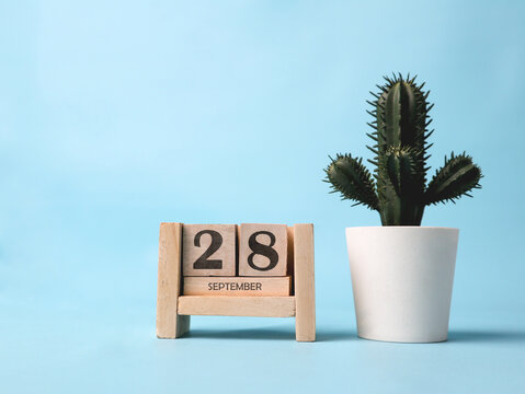 A wooden block calendar for September 28th with a plastic cactus plant on the side on a light blue background.