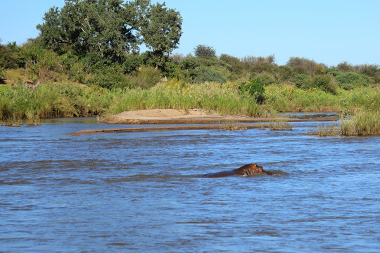 Olifants River/ Olifants River /
