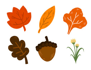 Hand-drawn autumn leaves and acorn illustration set © MochiStudio