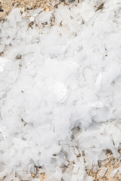 Leaf Ice Used for Fish Storage &ndash; Crushed Ice Preserving Fresh Seafood at a Fish Market