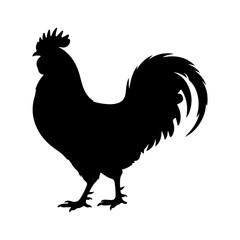 Standing Rooster Silhouette Vector  © SAMIA