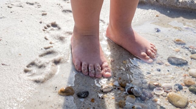 Toddler stepping into clear beach tide pool water