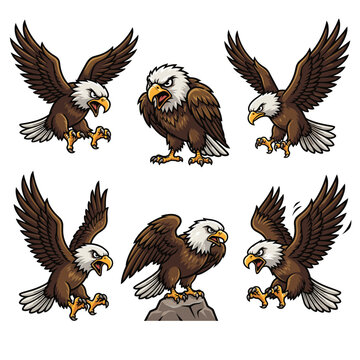 Angry eagle vector mascot wild bird illustration set showing powerful brown bald eagles flying attacking and landing on rock for sport team logo character or wildlife graphic art.
