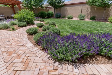 Obraz premium The Lavender Garden Pathway Framed by Curved Brick Walkway in Backyard