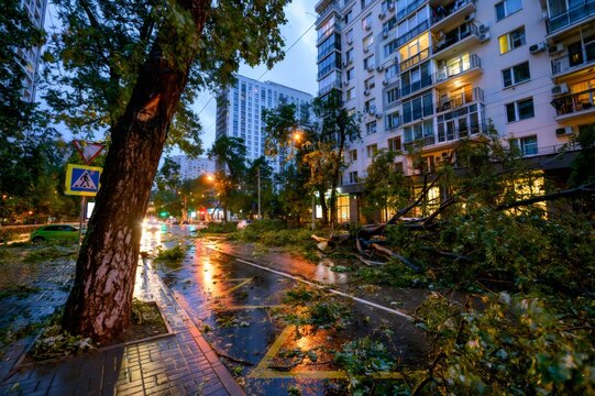 Fallen trees blocking city street after storm damage