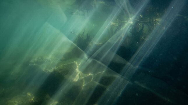 Dramatic light rays crossing through murky green underwater environment with kelp shadows and floating particles