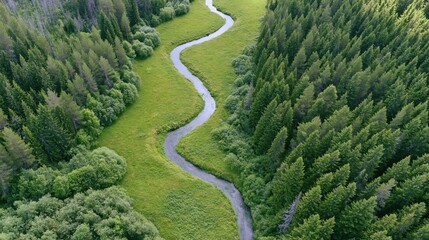 Obraz premium The Meandering River Winding Through Lush Forests and Open Meadow from Aerial Perspective