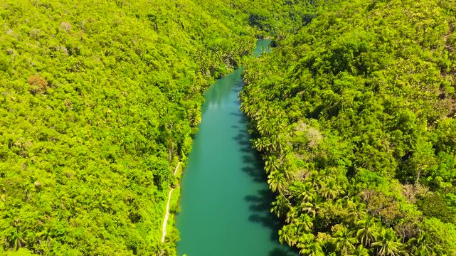 Aerial drone of Tropical Loboc river in the rainforest. Mountain river flows through green forest. Bohol, Philippines.