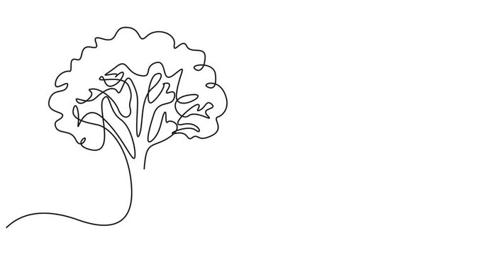 Tree sketch, one line drawing animation. Video clip with alpha channel, Animation of one line drawing tree silhouette. Continuous line self draw animated. Full length motion. Continuous video with one