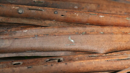 Obraz premium Close-up of Stacked Dry Brown Coconut Palm Leaf Stalks with Weathered Texture and Organic Details