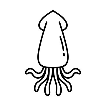 Squid line icon with hand drawn doodle design style