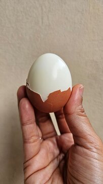 A hand holding a hard boiled egg with some of the shell peeled away, revealing part of the egg white; isolated on a yellow background.