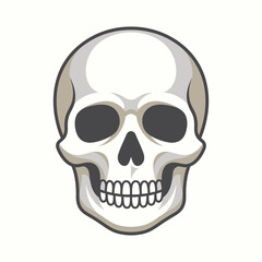 Fototapeta premium Anatomical human skull vector illustration. Minimalist cranium head icon. Stylized bone skeletal face for medical or gothic design. isolated on White Background Halloween Editable SVG