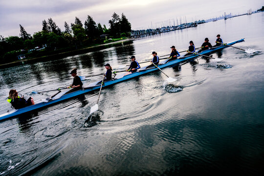A rowing team rows together in a synchronized effort on calm water