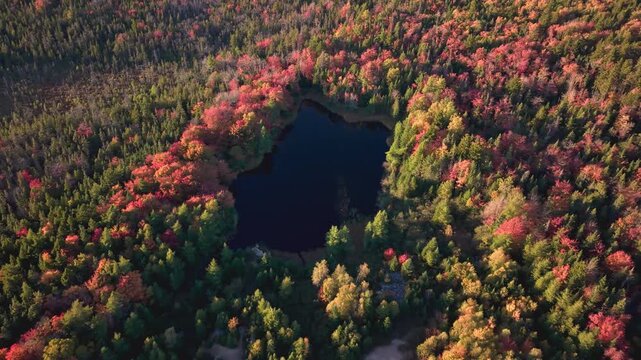 Autumn forest views over lake near Halifax Nova Scotia Canada
