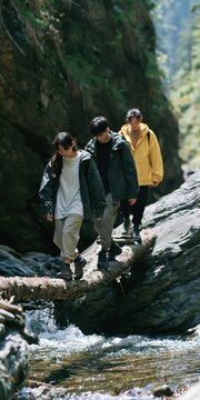 Three hikers crossing a fallen log over a mountain stream in a forest canyon for outdoor adventure travel banner and nature background