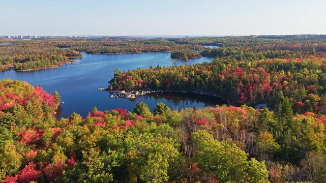 Aerial view of the forest and lake in Halifax, Nova Scotia in autumn