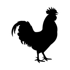 Crowing Rooster Silhouette Vector © SAMIA