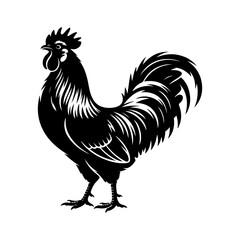 Standing Rooster Silhouette Vector  © SAMIA