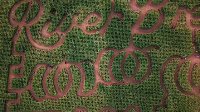 Exploring a corn maze from above in Nova Scotia, Canada